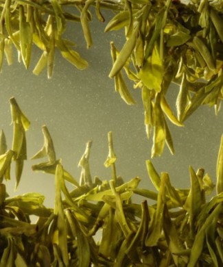 Цзюнь Шань Инь Чжэнь05